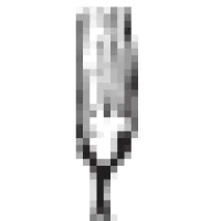 Fork Logo