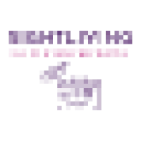Frankfurt Rhine Tours Logo