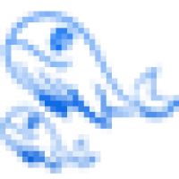Freedom Whale Watch Logo