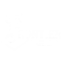 Frontier Security Logo