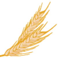 Fruitful Yield Logo