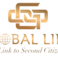 Global Link Consulting Logo