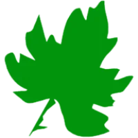 Green Leaf Tree Experts Logo