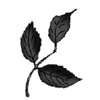 Hillside Farmacy Logo