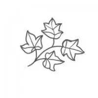 Hunter Valley Private Tours Logo