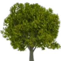 Ironwood Capital Logo