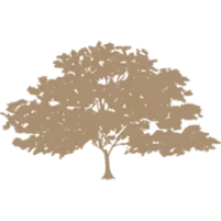 Ironwood Wealth Management Logo