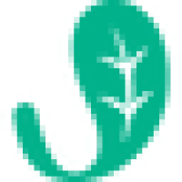 Jade Leaf Matcha Logo