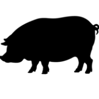 Jim 'N Nick's Bar-B-Q Logo
