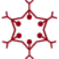 KC High International School Logo