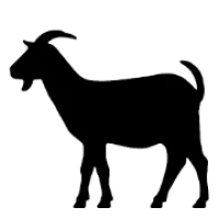 Kid Cashew Logo