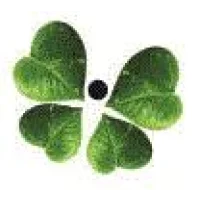 Kipepeo Logo