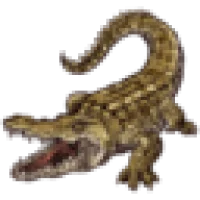 Kissimmee Swamp Tours Logo