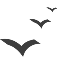 Knowsley Community College Logo