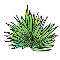 La Condesa Logo