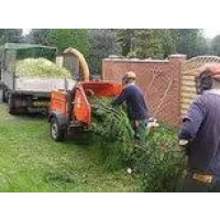 Leeds Tree Services Logo
