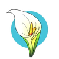 Licha's Cantina Logo