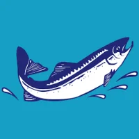 Liman Restaurant Logo