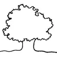 Little Acorns Montessori Logo