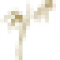 Luc Lac Logo