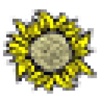 Maisie Jane's Logo