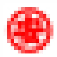 Maruyasu Logo