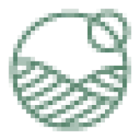 Midori Spring Logo