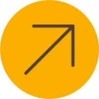 Miyagi Logo