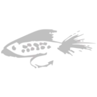 Monterey Bay Fish Grotto Logo