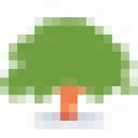 Morison Insurance Logo