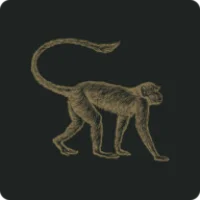 Mowgli Street Food Logo
