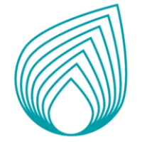 Netas Logo