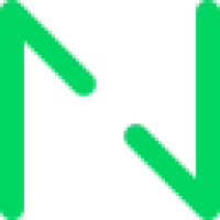 Netguru Logo