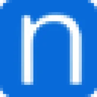 NetSet Software Logo