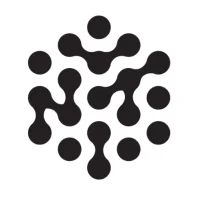 Nevada IT Solutions Logo