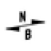 North Brewing Co Logo