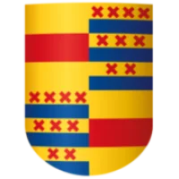 Nyenrode Business University Logo