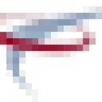 Peak Performance IT Logo