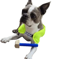 Peak Performance Roofs Logo