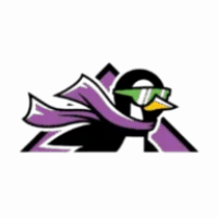 Penguin Air, Plumbing & Electrical Logo