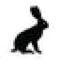 Pinewood Social Logo