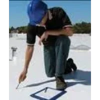 Pioneer Roofing Logo