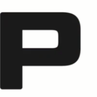 Precision Painting Logo