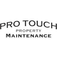 ProTouch Carpet Logo