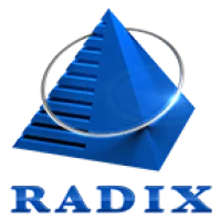 Radixweb Logo