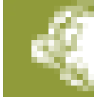 Real Pickles Logo