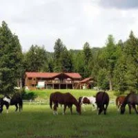 Rich Ranch Logo