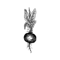 Roots Cafe Logo