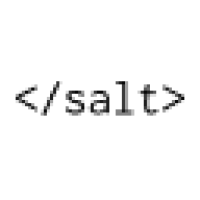 Salt Logo
