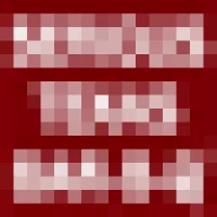 Serious Texas Bar-B-Q Logo